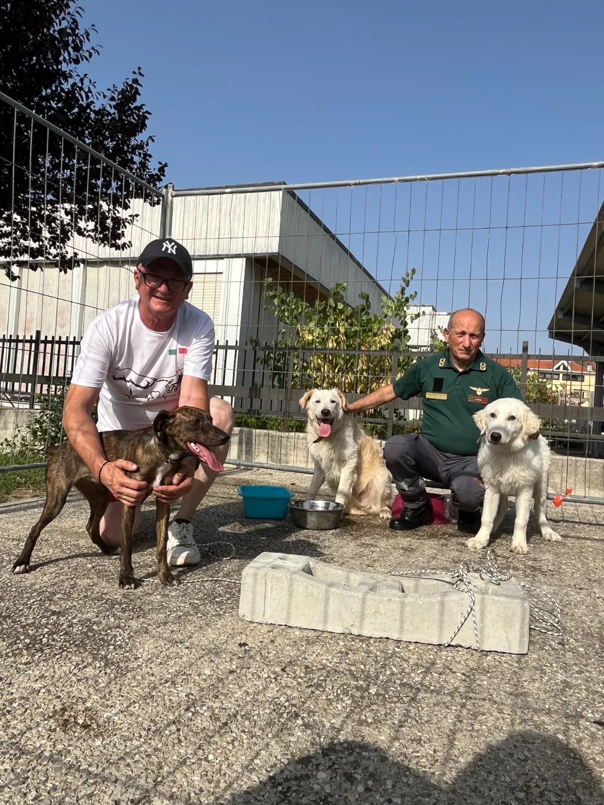Giornata cinofila — foto 2 - Congeav Sezione Trivento