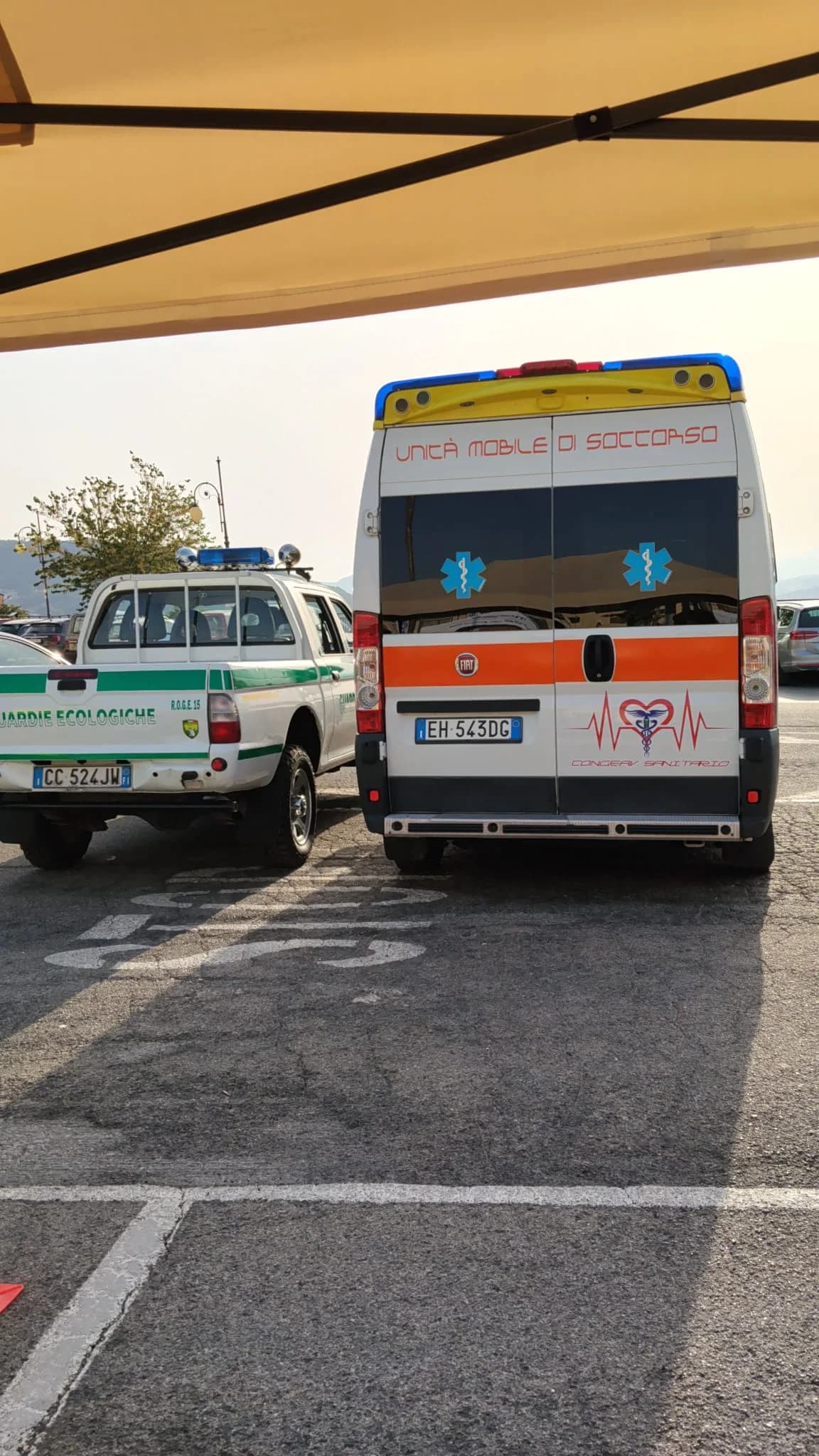 Giornata cinofila — foto 4 - Congeav Sezione Trivento