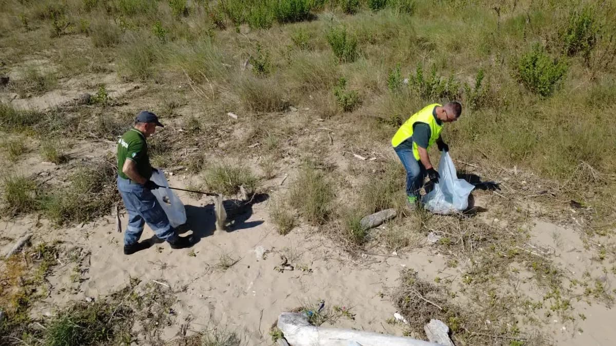 Pulizia della spiaggia di Termoli — foto 3 - Congeav Sezione Trivento