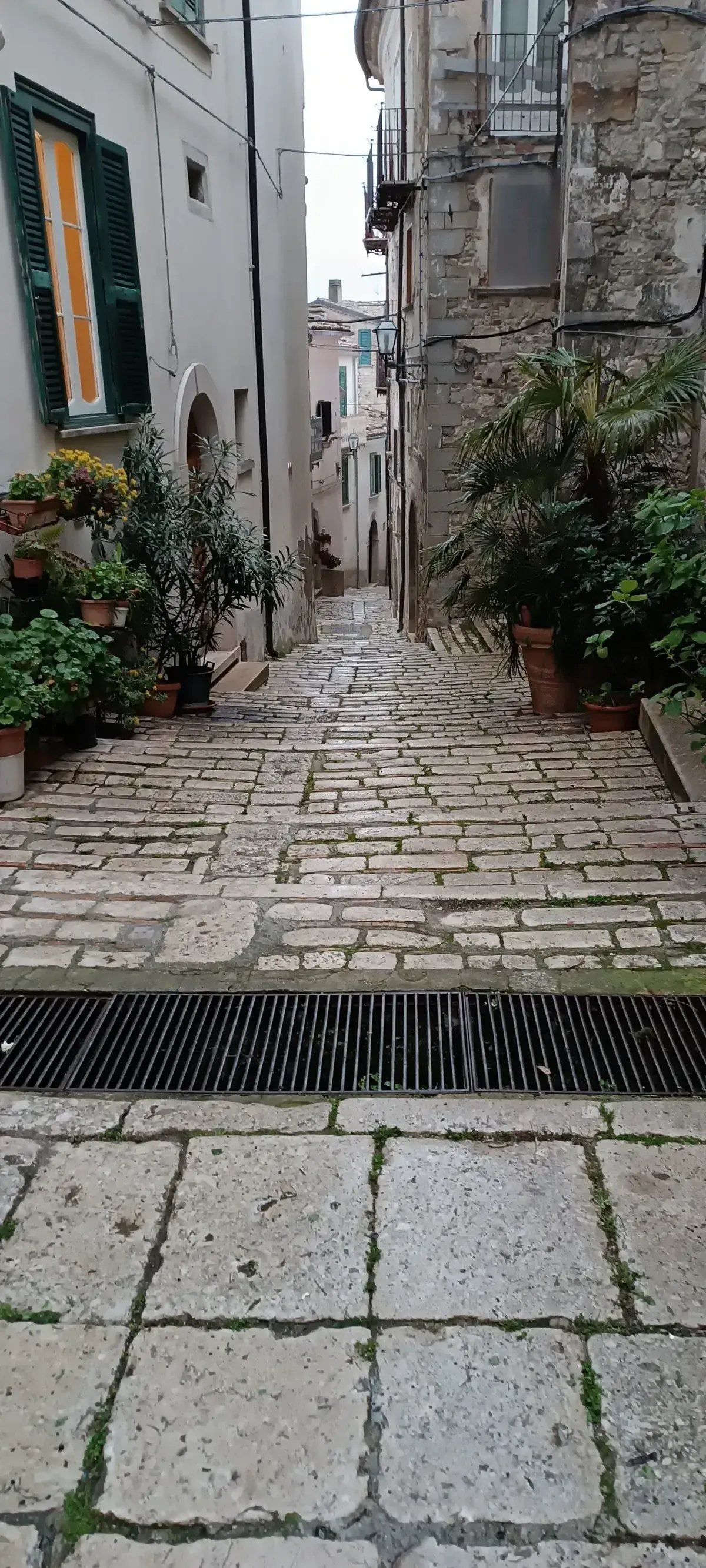 Pulizia del centro storico — foto 3 - Congeav Sezione Trivento