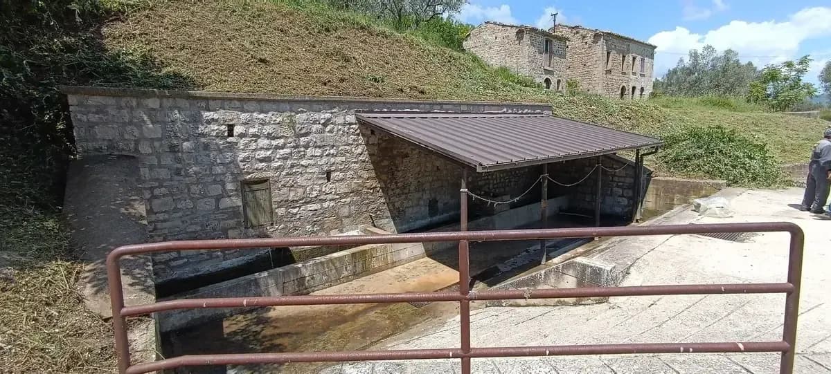 Pulizia del territorio — foto 1 - Congeav Sezione Trivento