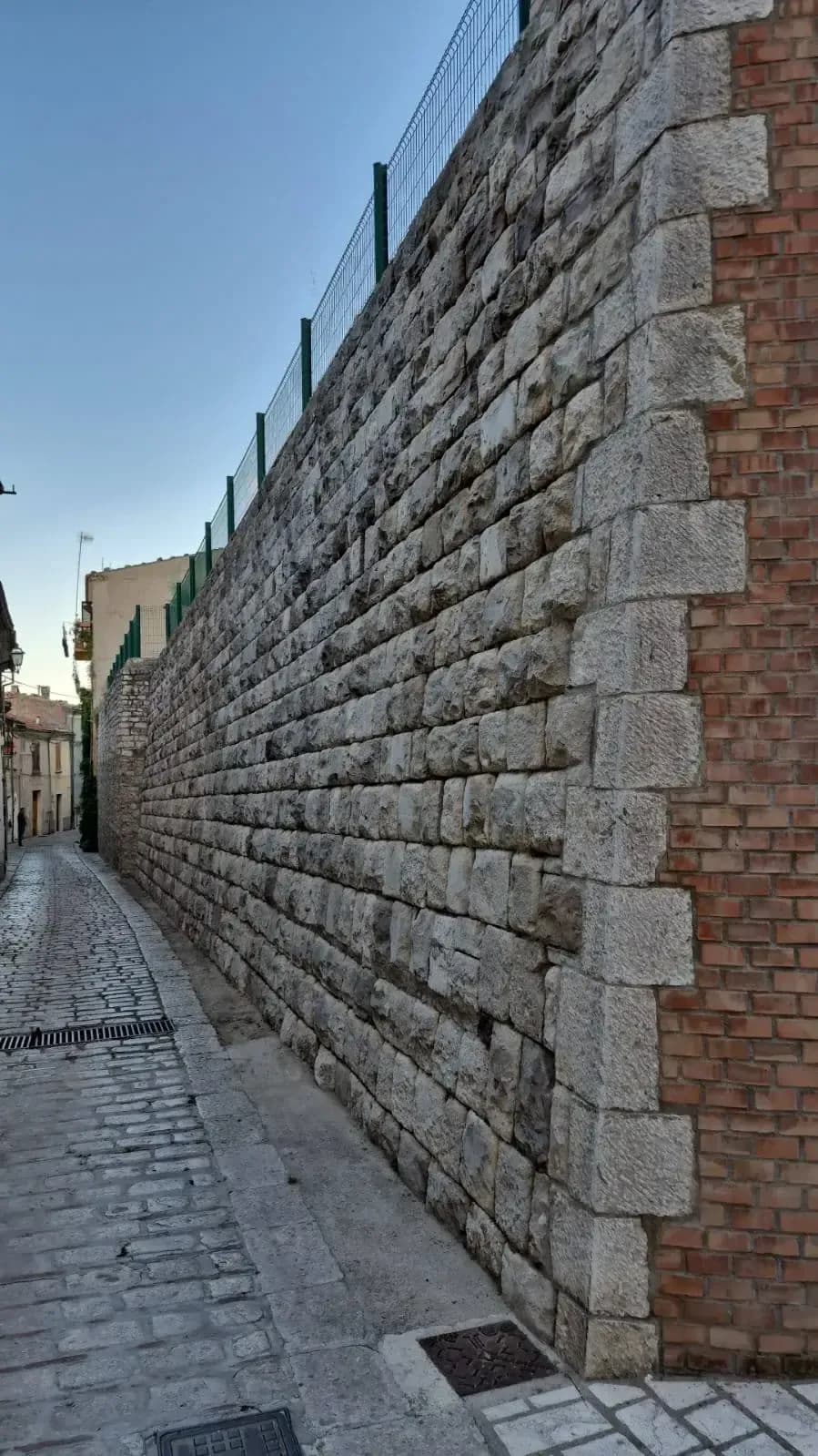 Pulizia del territorio — foto 1 - Congeav Sezione Trivento
