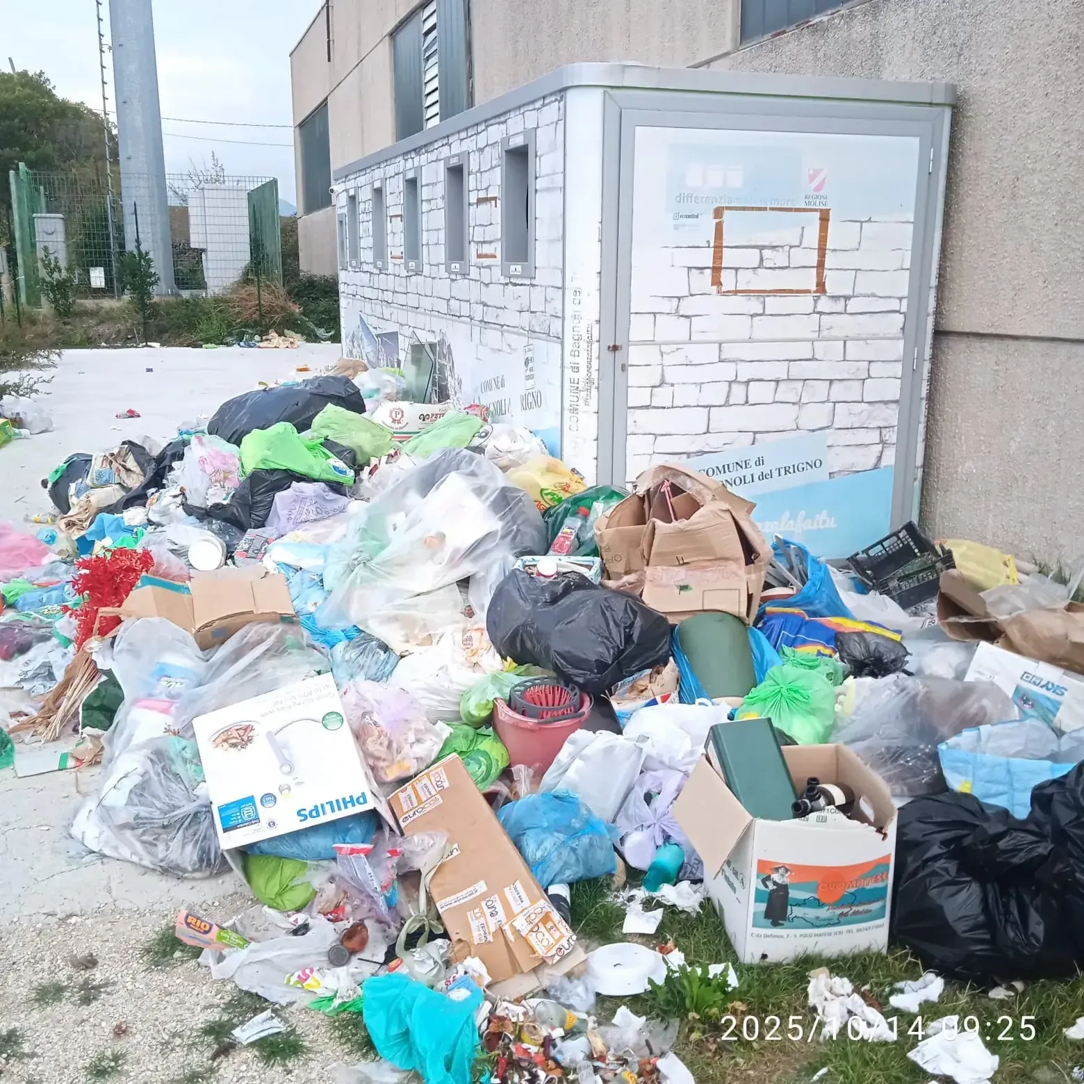 Intervento di rimozione dei rifiuti — foto 2 - Congeav Sezione Trivento